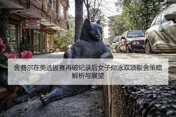 she-fei-er-zai-mei-xuan-ba-sai-zai-po-ji-lu-hou-nv-zi-yang-yong-shuang-xiang-qu-she-ce-lve-jie-xi-yu-zhan-wang-2-307.jpg
